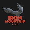 Iron Mountain - Unum (12” LP)