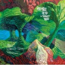 Assemble Head - When Sweet Sleep Returned (12” LP)