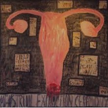 Brulvahnatu - Menstrual Extraction Ceremony (12” LP)