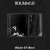 Brisen - Shade Of Soul (12” LP)