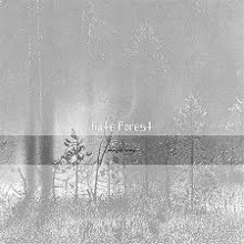 Hate Forest - Temple Forest (12” LP)
