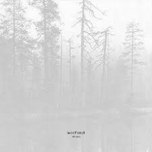 Hate Forest - The Curse (12” LP)