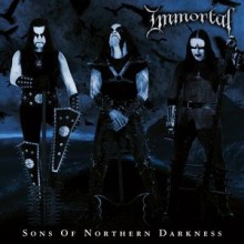 Immortal  - Sons of Northern Darkness (12” Double LP  2015 RE w/ Etching on side D)