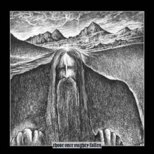 Ildjarn / Hate Forest - Those Once Mighty Fallen (12” Double LP)