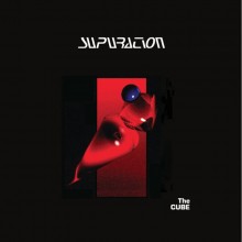 Supuration - The Cube (12” Double LP)