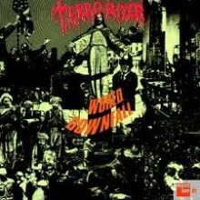 Terrorizer - World Downfall (12” LP standard black vinyl. 2017 pressing. Terrorizer is a Grindcore b