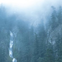 Wolves In The Throne Room - Diadem of 12 Stars (12” Double LP)