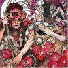Baroness - Red Album (2 x Vinyl, 12”, 45 RPM, Album, Limited Edition, Repress (Used, 2009 - 2012 Rep