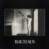 Bauhaus - In A Flat Field (12” LP)
