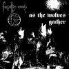 Forgotten Woods - As The Wolves Gather (12” LP on black vinyl. Nowegian Black Metal)