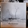 Gallhammer - Ill Innocence (2 x Vinyl, LP, Album (Used, 2007))