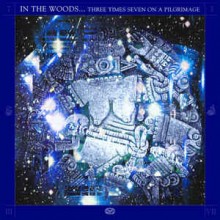 In The Woods - Three Times Seven On A Pilgrimage (12” Double LP 180 gram vinyl. Limited to 500 copie