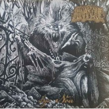 Monarque - Lys Noir (12” LP Limited Edition Gatefold of 500 copies)