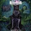 Petrification - Hollow Of The Void (12” LP Includes a poster, insert with lyrics and a download code