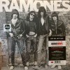 Ramones - Ramones (12” LP 180 Gram Rhino Vinyl Reissue. 2016 remastered audio. Classic 70s Punk Rock